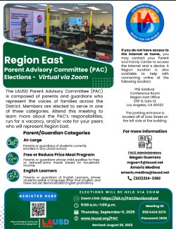 Region East PAC Election Flyer
